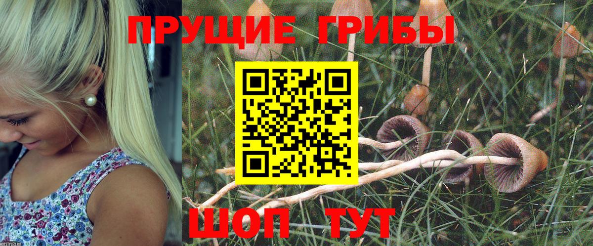Галлюциногенные грибы прущие грибы  Вход с VPN  Псилоцибиновые грибы Psilocybine cubensis  Фрязино 
