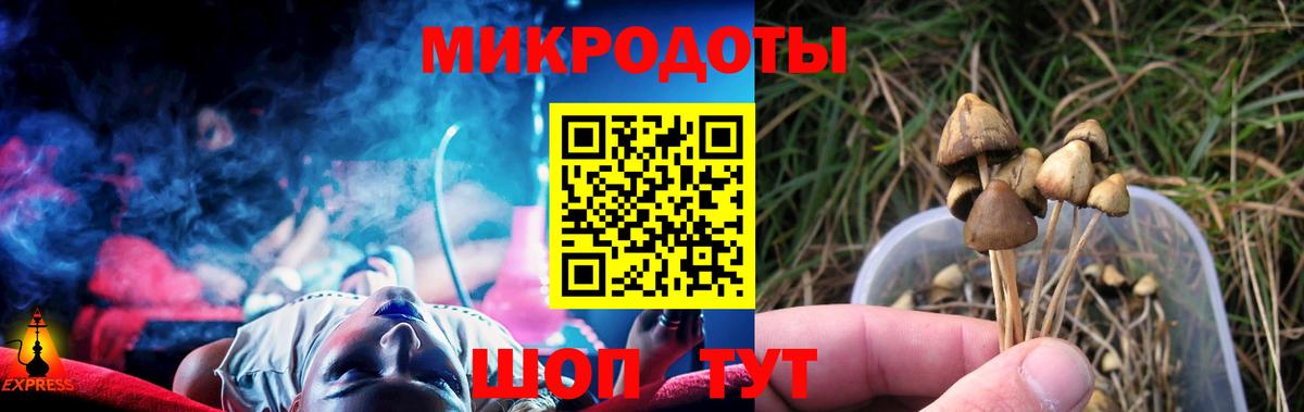 Галлюциногенные грибы Magic Shrooms Фрязино