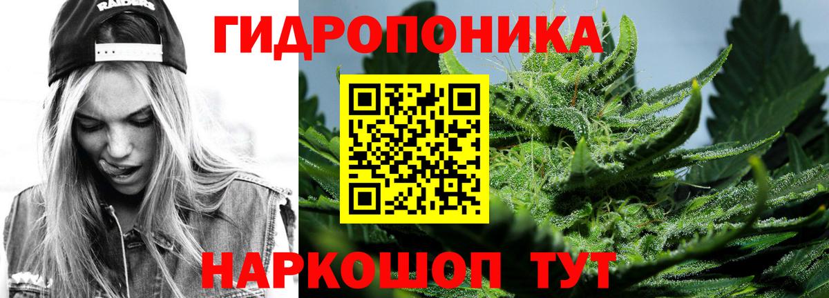 Бошки марихуана AK-47  Вход с VPN  Бошки Шишки гибрид  Фрязино 